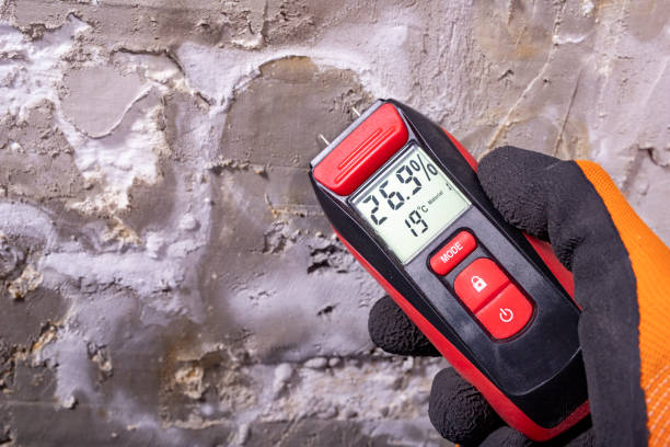Lowell, NC Mold Removal Company