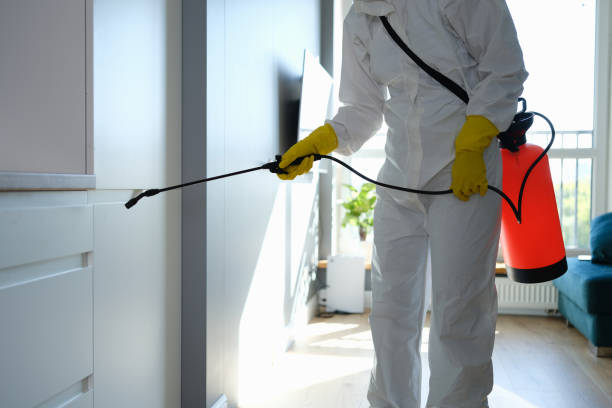 Best Toxic Mold Removal  in Lowell, NC