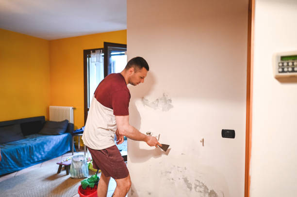 Best Black Mold Removal  in Lowell, NC